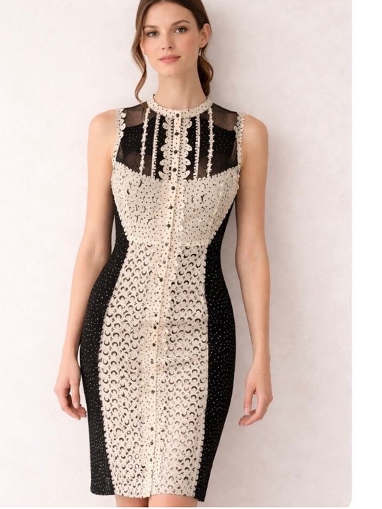 Byron Lars Dresses & Skirts - Byron Lars “Beguile” Dress Sz 2
